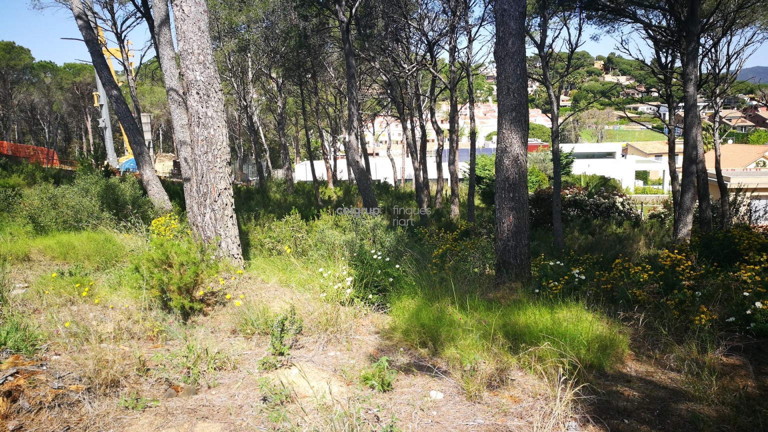 OPPORTUNITY A TORRE VALENTINA