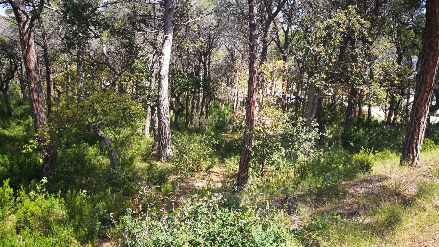 OPPORTUNITY A TORRE VALENTINA