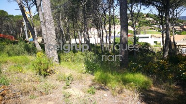 OPPORTUNITY A TORRE VALENTINA