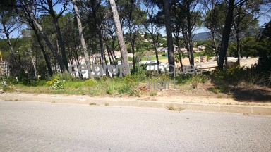 OPPORTUNITY A TORRE VALENTINA