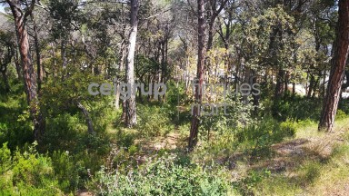 OPPORTUNITY A TORRE VALENTINA