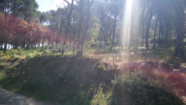 OPPORTUNITY A TORRE VALENTINA