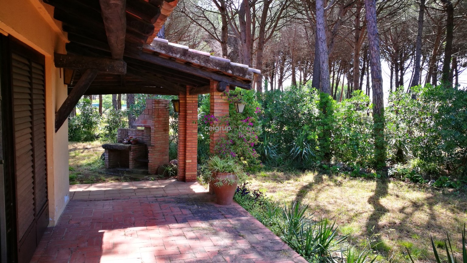 MORE FROM 9.000m OF LAND