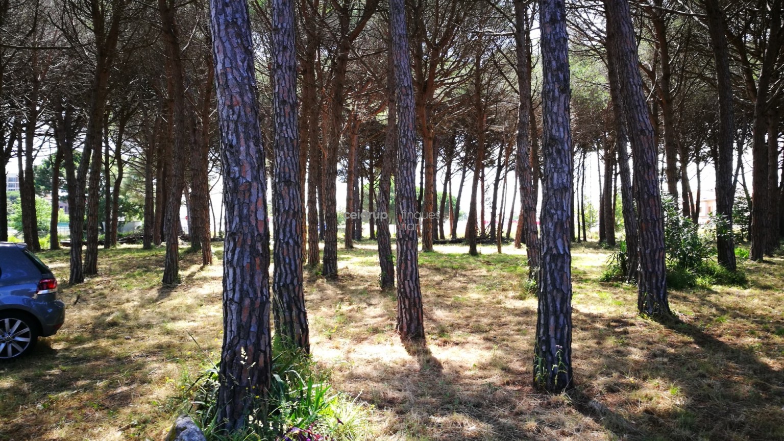 MORE FROM 9.000m OF LAND