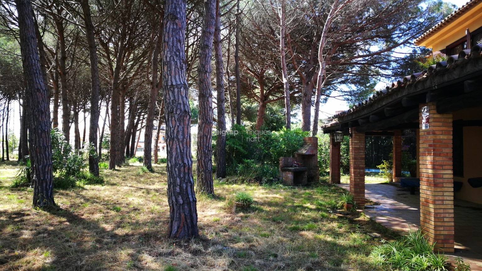 MORE FROM 9.000m OF LAND