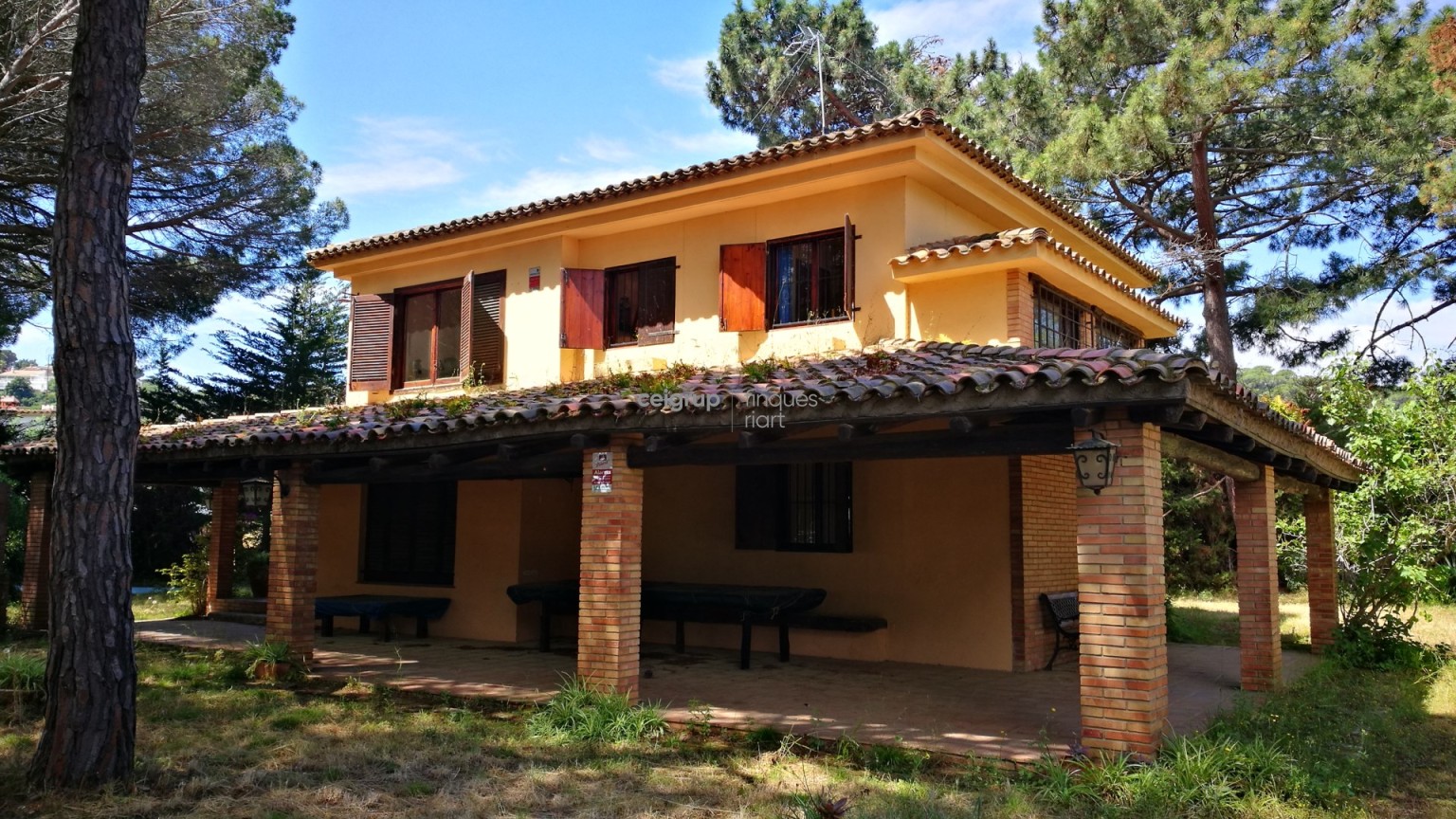 MORE FROM 9.000m OF LAND