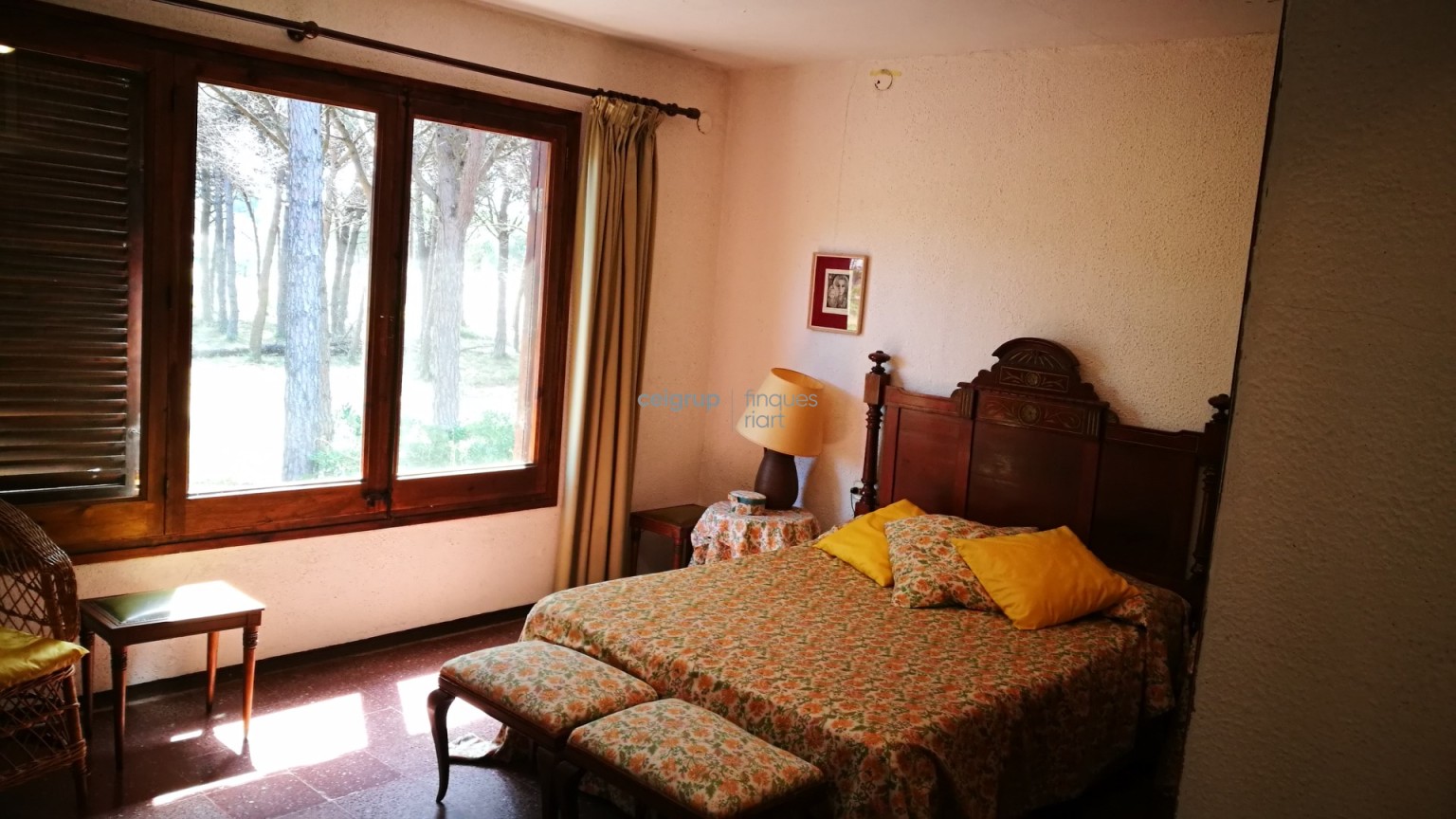 MORE FROM 9.000m OF LAND