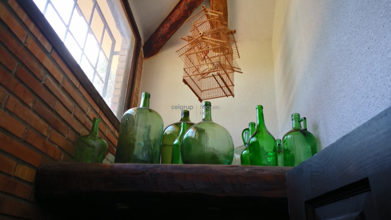 MORE FROM 9.000m OF LAND