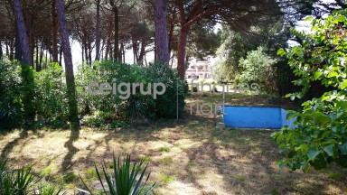 MORE FROM 9.000m OF LAND