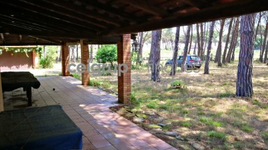 MORE FROM 9.000m OF LAND