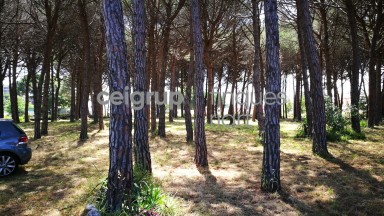 MORE FROM 9.000m OF LAND