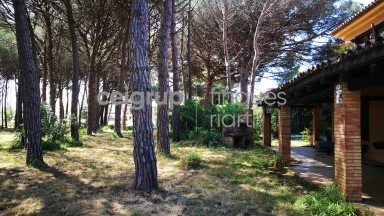 MORE FROM 9.000m OF LAND