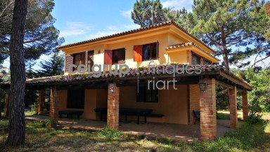 MORE FROM 9.000m OF LAND