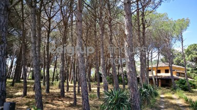 MORE FROM 9.000m OF LAND