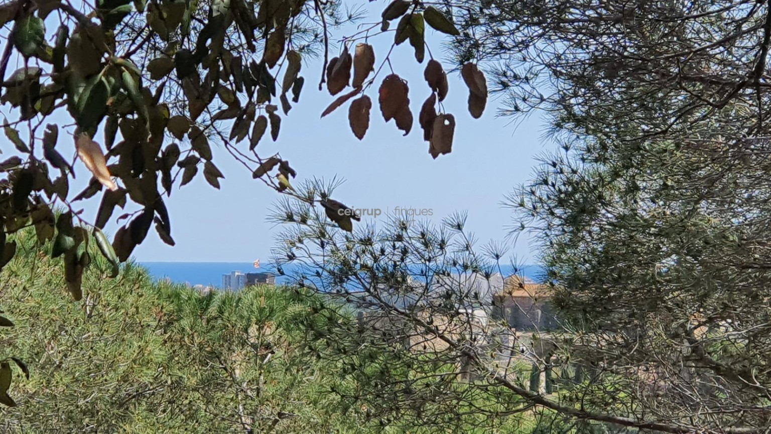 For build the house of your dreams