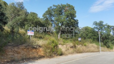 For build the house of your dreams