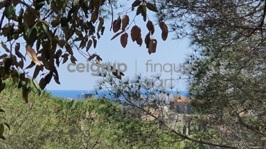 For build the house of your dreams