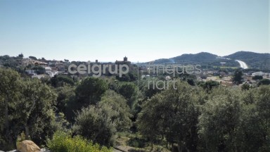 For build the house of your dreams