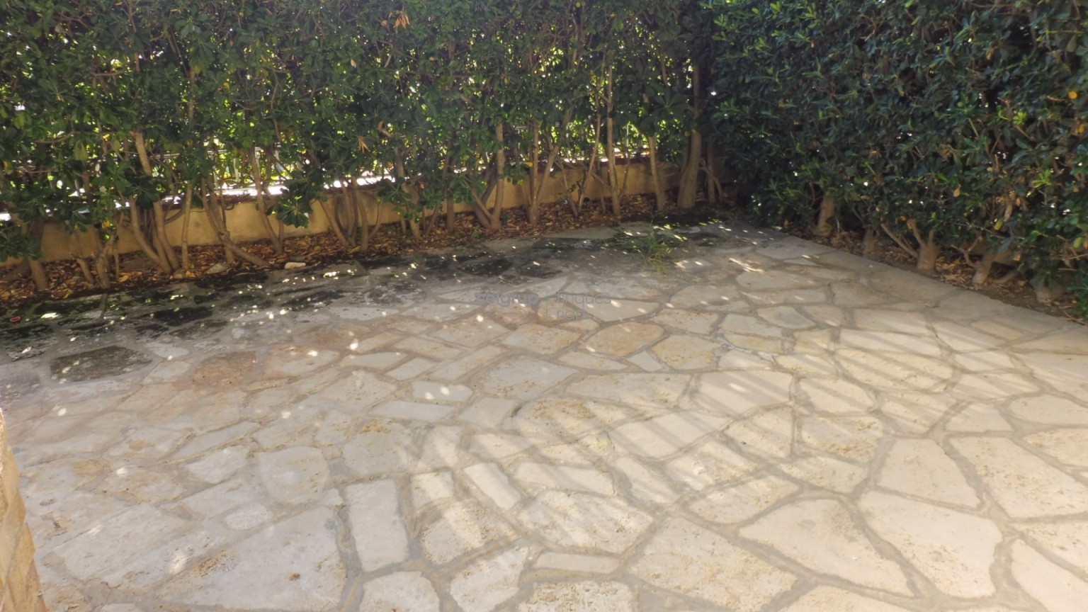 WONDERFUL GROUND FLOOR FLAT NEXT TO THE SEA