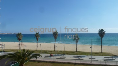 SANTA MARIA - 16 (2 rooms)