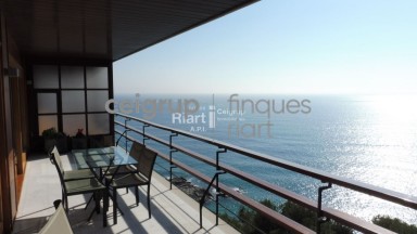 EDEN MAR - Spectacular