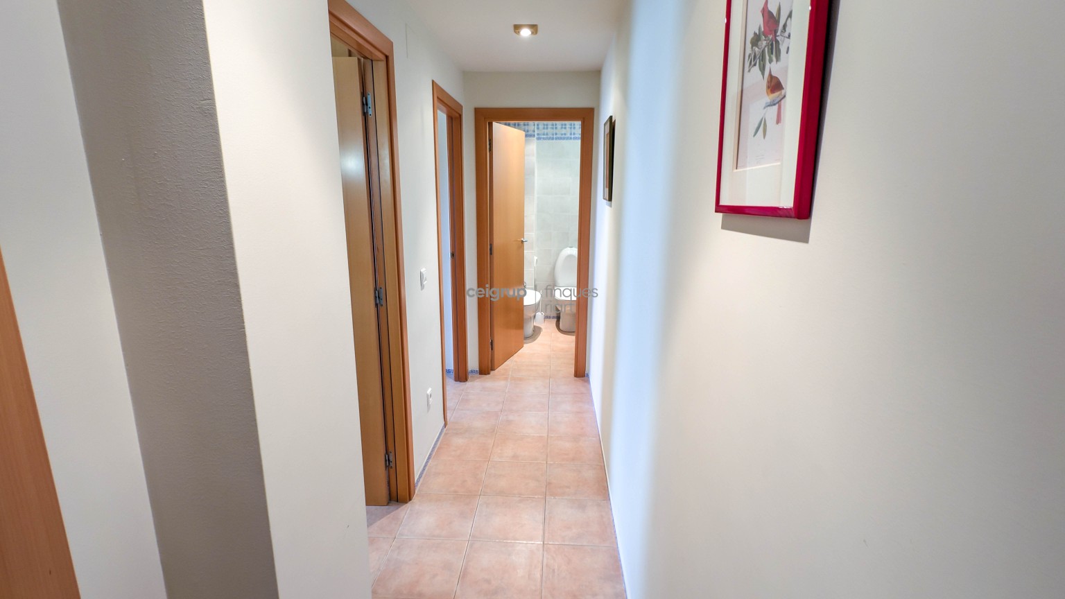 RESIDENCIAL MARINA II - VII-2-A (2 rooms)