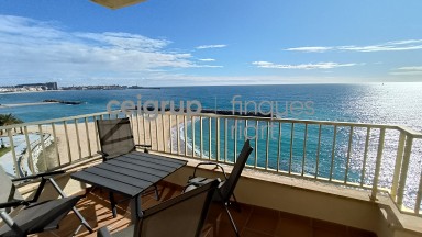 SAGUER 5-2 - Totalmente nuevo