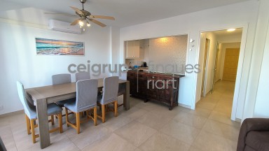COMTE D'URGELL 19 - Spacious apartment